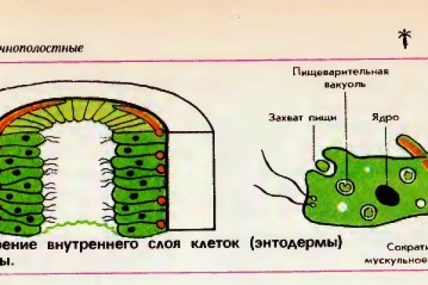 Кракен сайт официальный onion