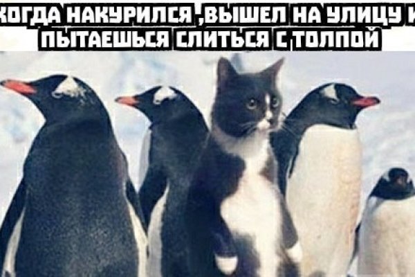 Кракен рабочая ссылка 2024