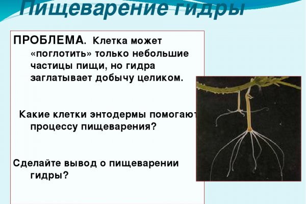 Kra27.cc