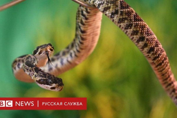 Kraken сайт kraken clear com