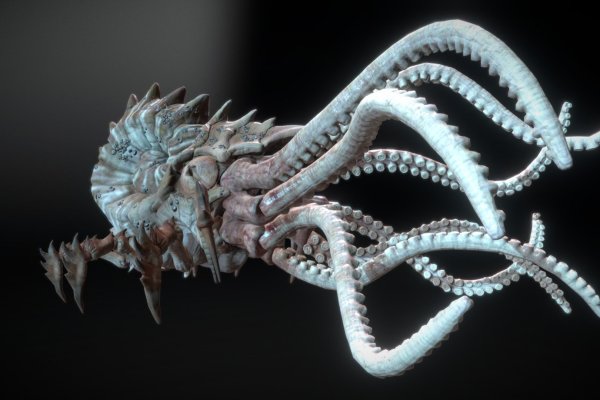 Kraken tor marketplace