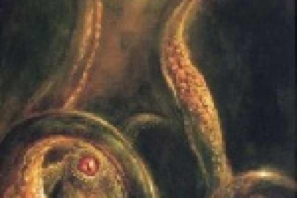 Kraken 14at
